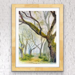 “Mysterious Forest”